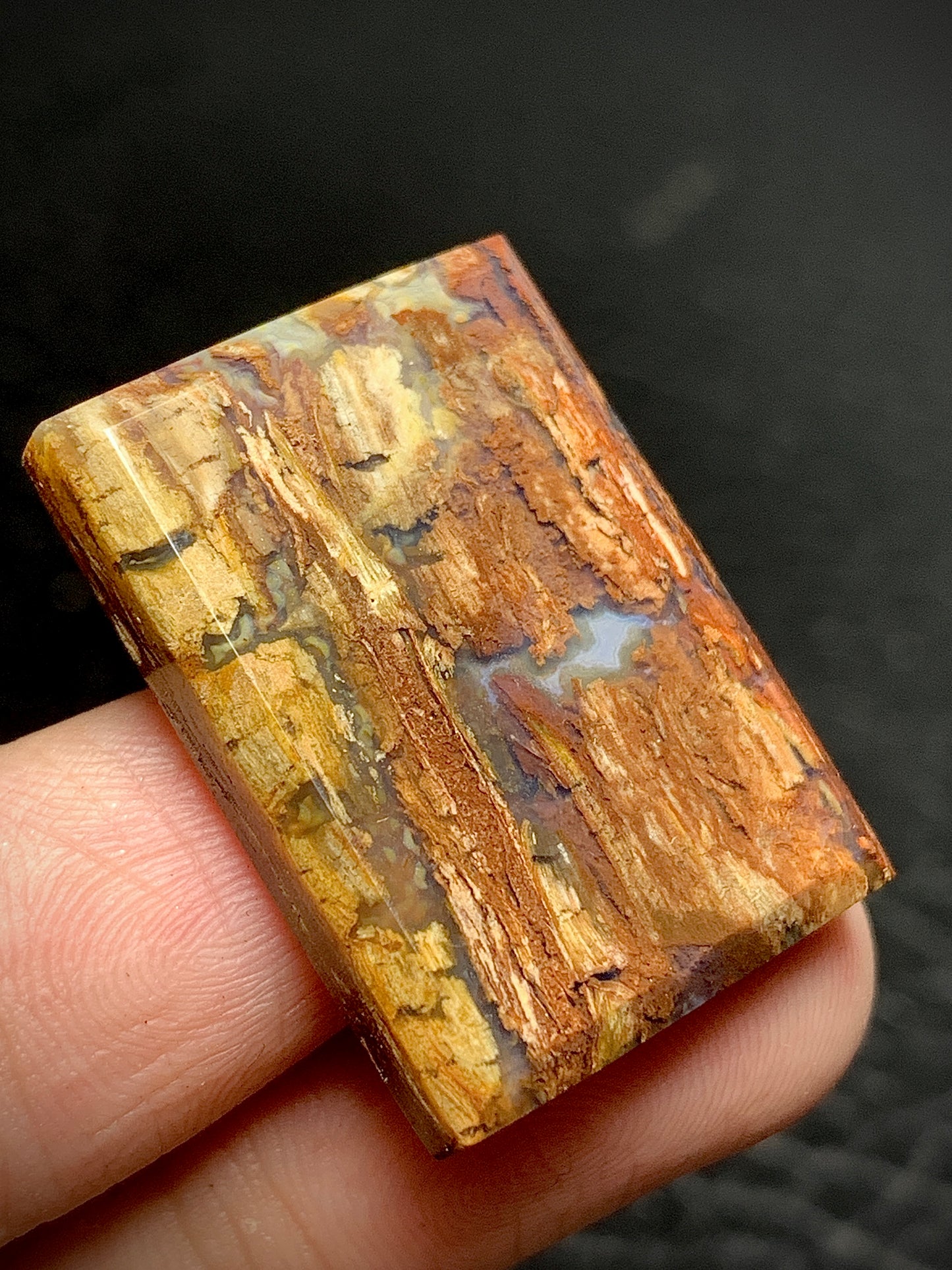 Petrified Wood Cabochon 27.5x20x4.5mm