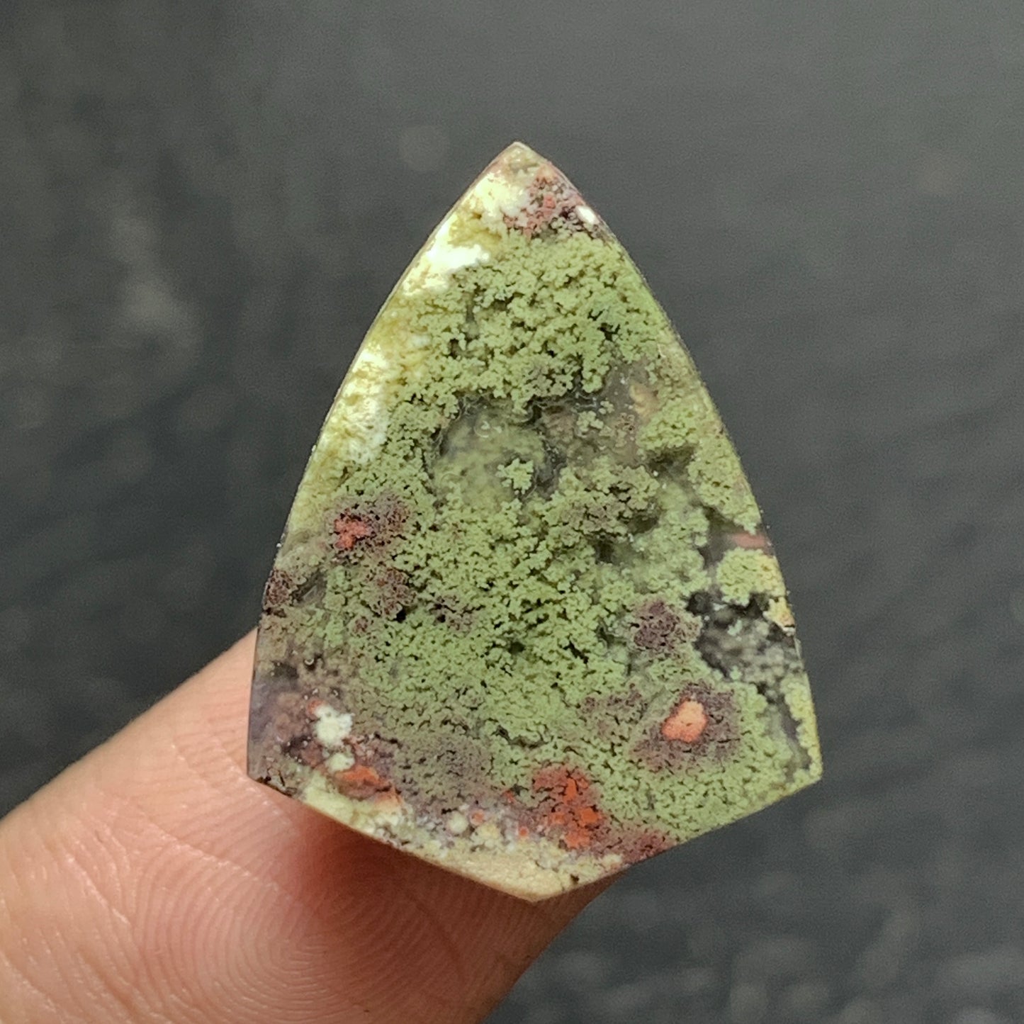 Scenic Moss Agate Cabochon 22.5x17x5mm High Quality 12 ct