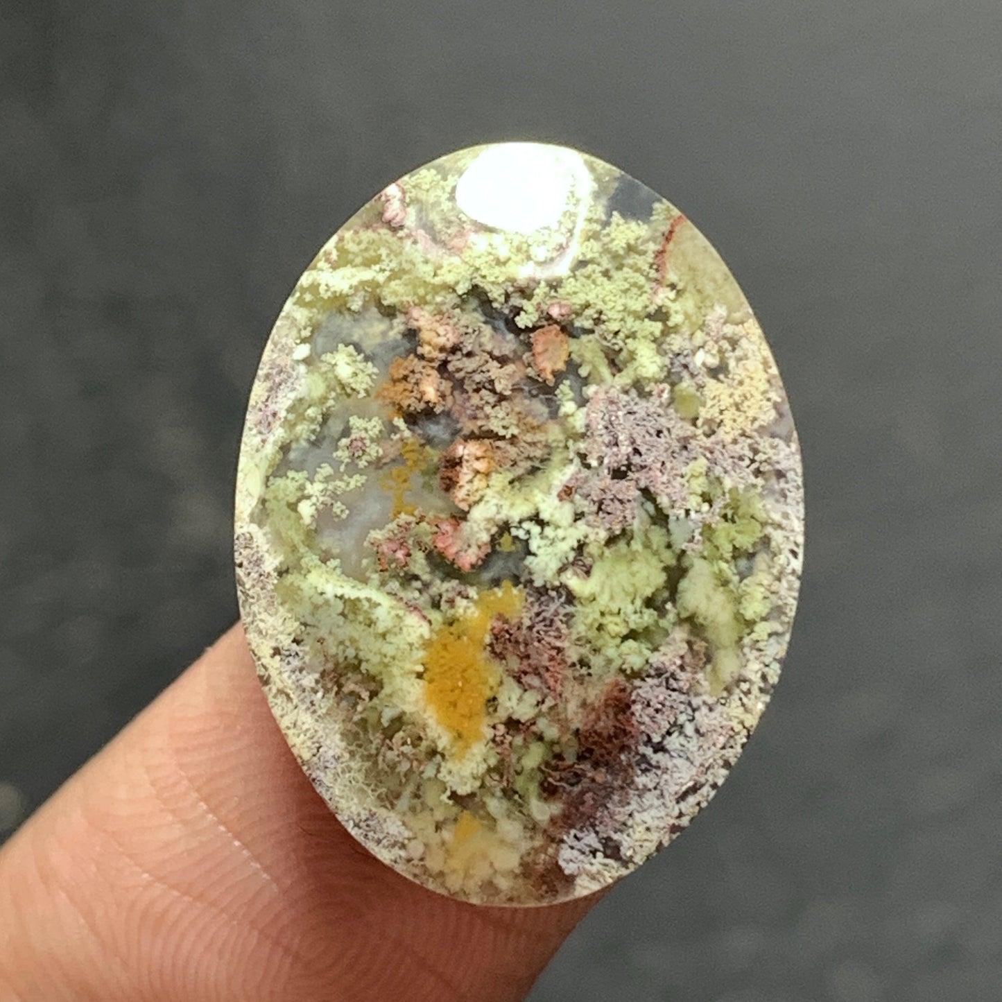 Scenic Moss Agate Cabochon 21x16x5mm High Quality 12 ct