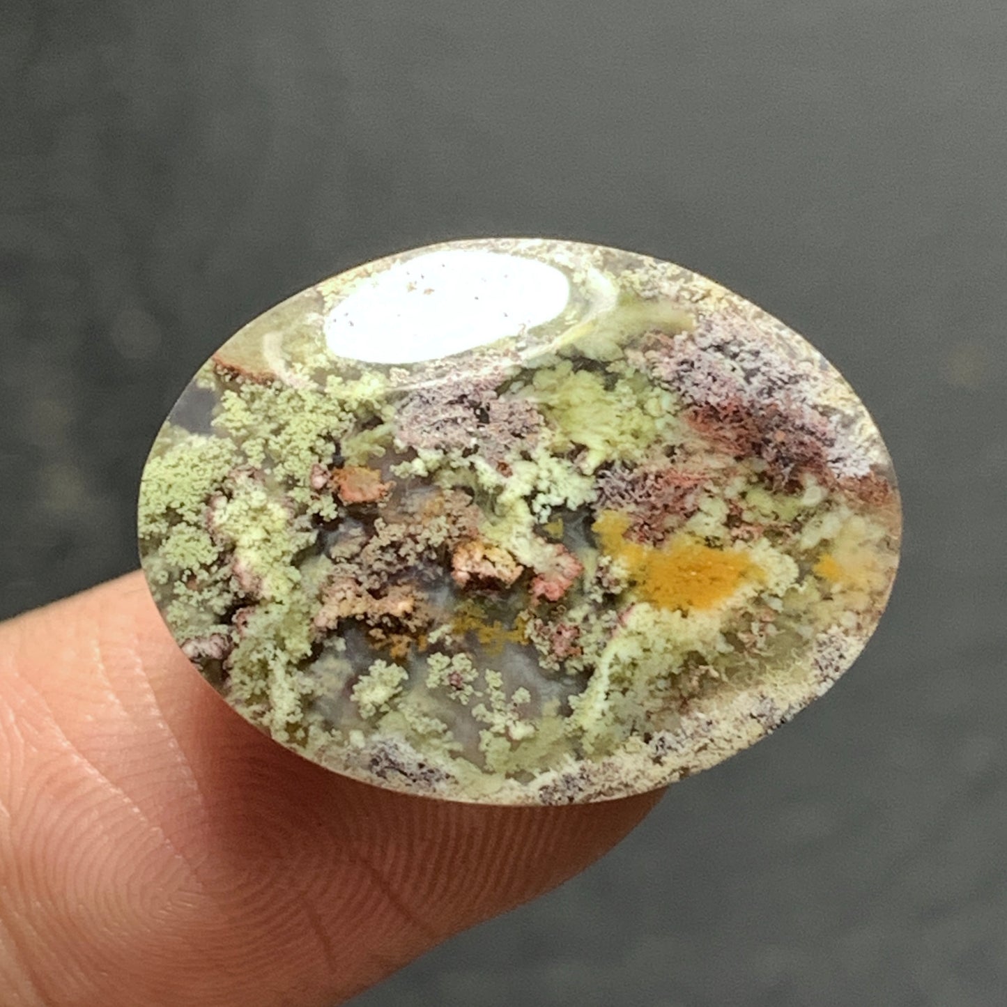 Scenic Moss Agate Cabochon 21x16x5mm High Quality 12 ct