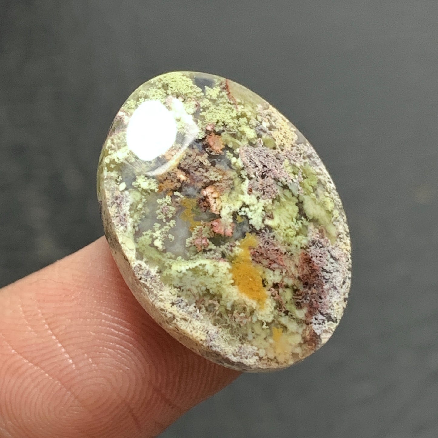 Scenic Moss Agate Cabochon 21x16x5mm High Quality 12 ct