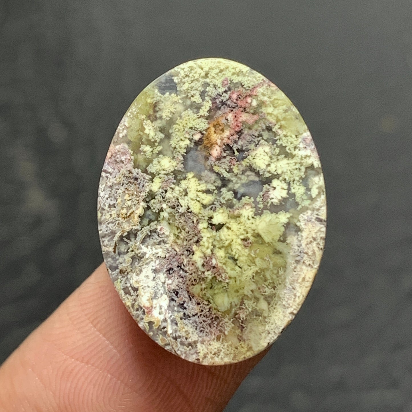 Scenic Moss Agate Cabochon 21x16x5mm High Quality 12 ct