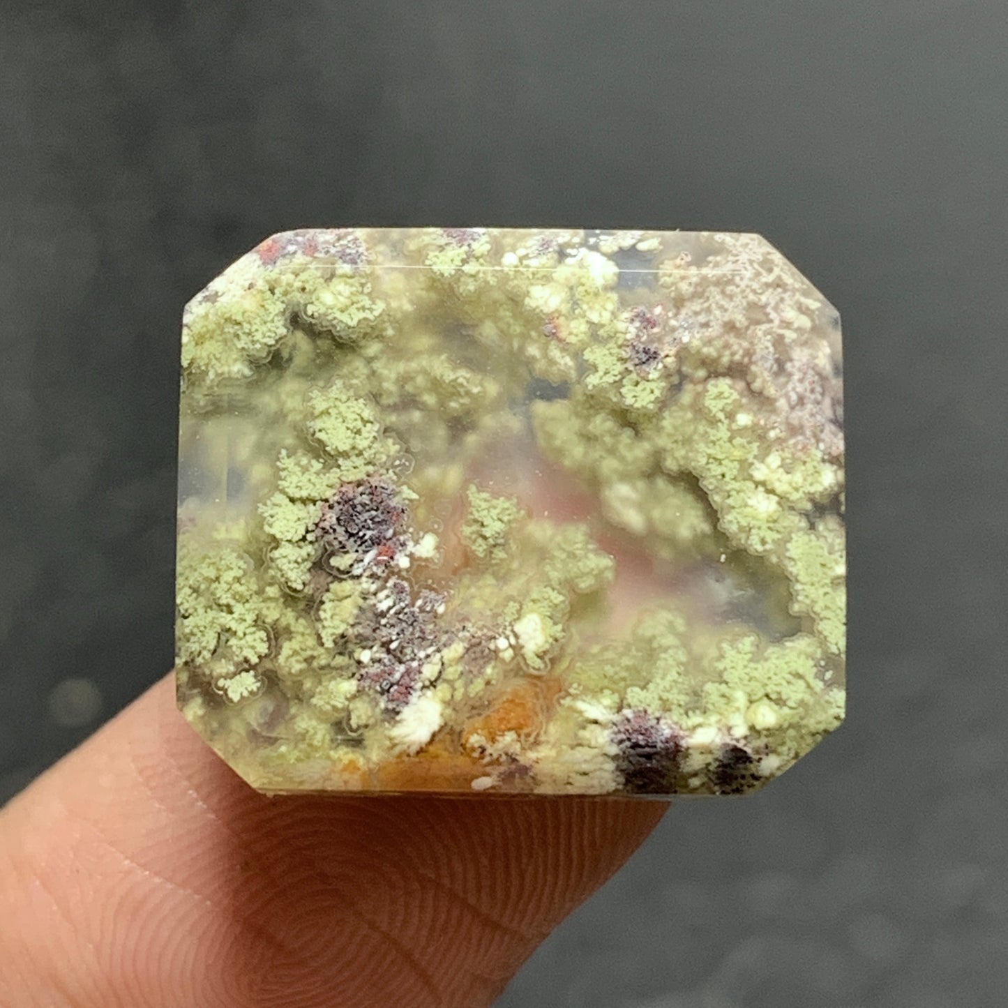Scenic Moss Agate Cabochon 19x16x4.5mm High Quality 15 ct