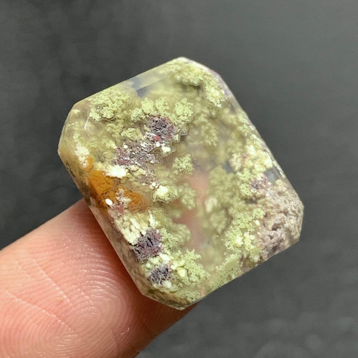 Scenic Moss Agate Cabochon 19x16x4.5mm High Quality 15 ct