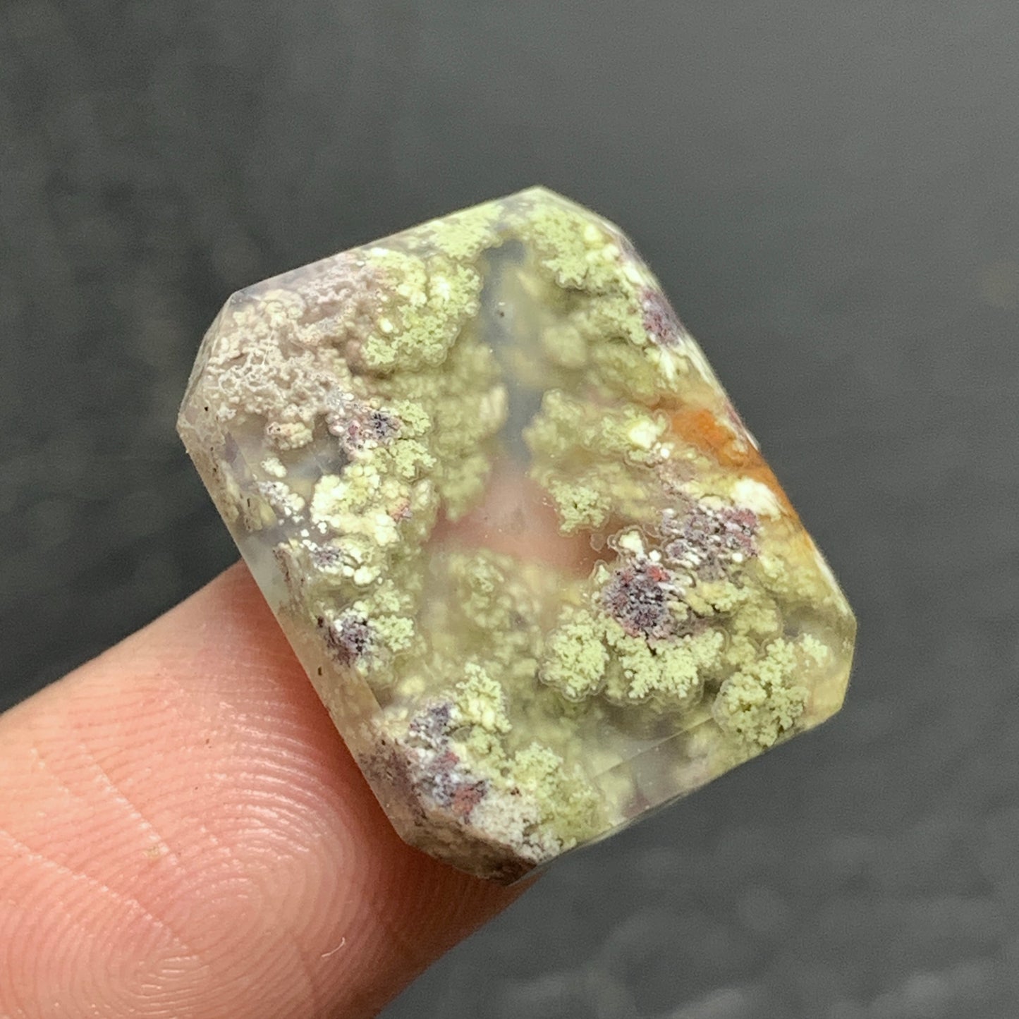 Scenic Moss Agate Cabochon 19x16x4.5mm High Quality 15 ct