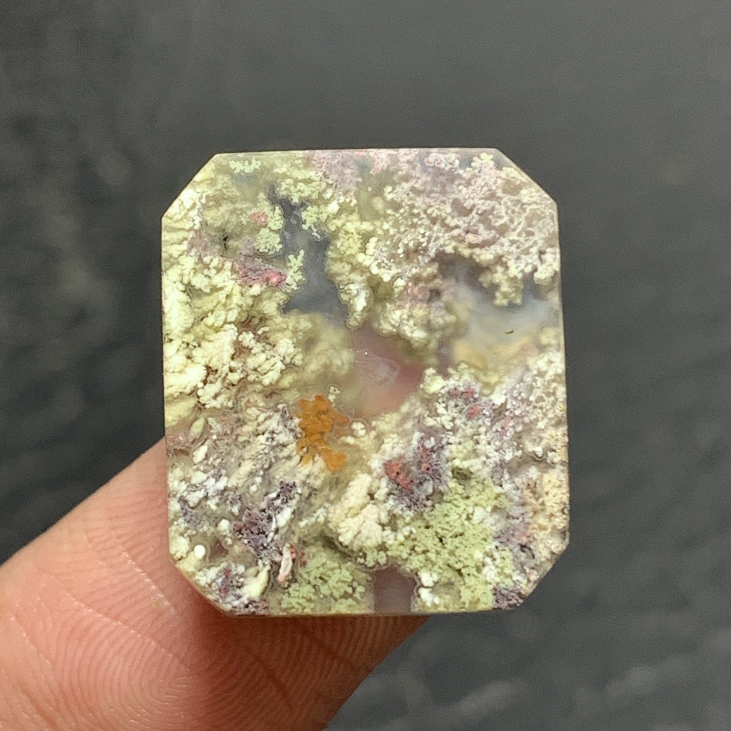 Scenic Moss Agate Cabochon 19x16x4.5mm High Quality 15 ct