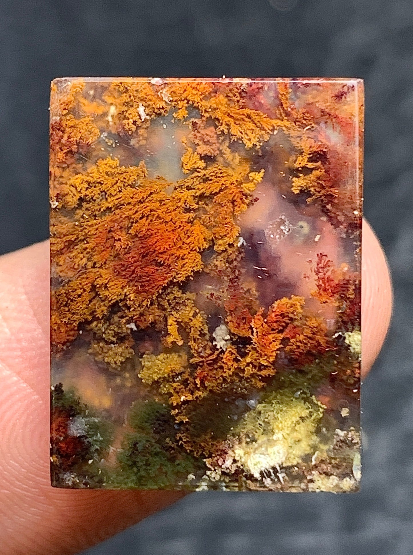 Moss Agate Cabochon 18.5x14x4mm