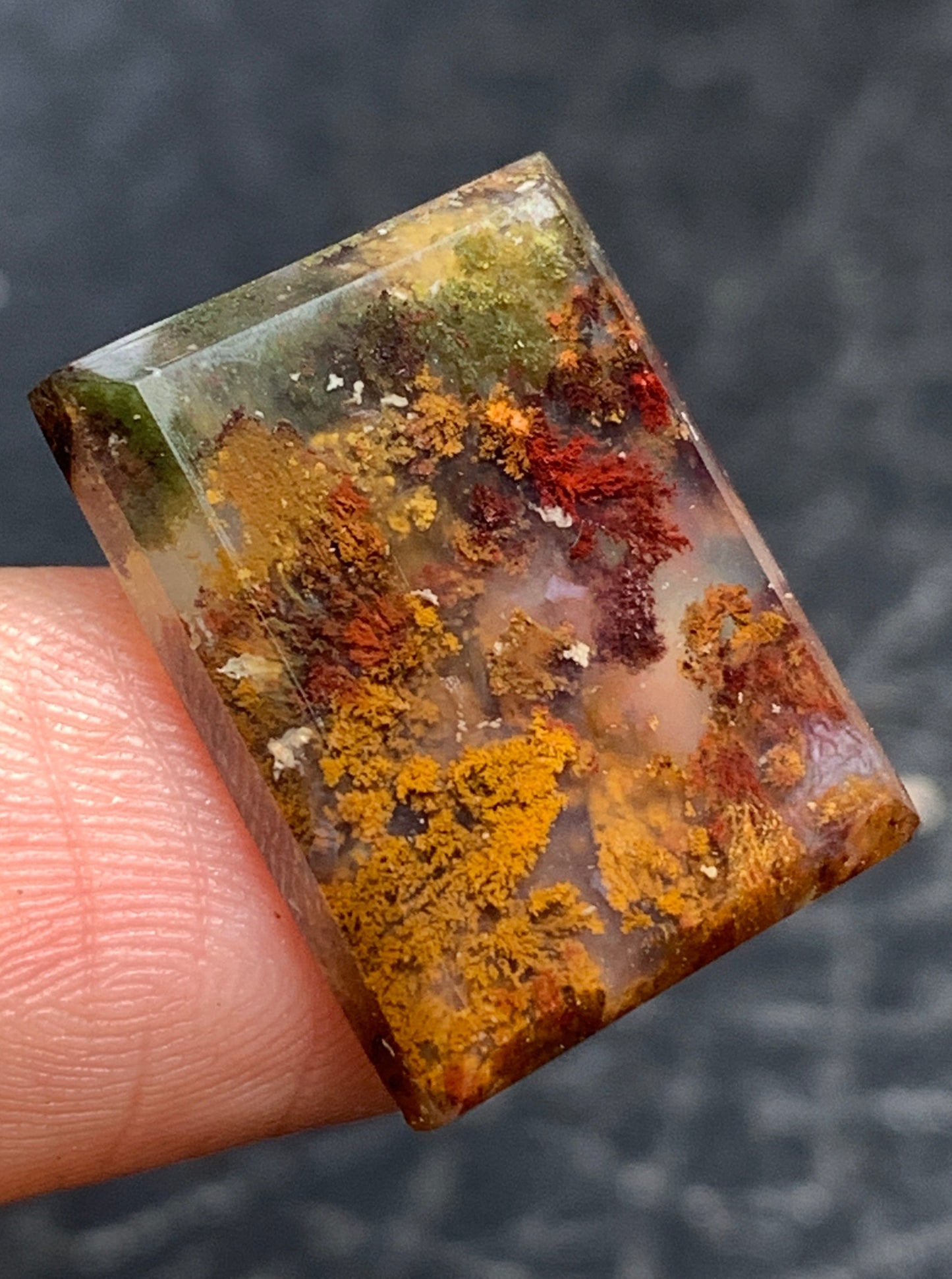 Moss Agate Cabochon 18.5x14x4mm