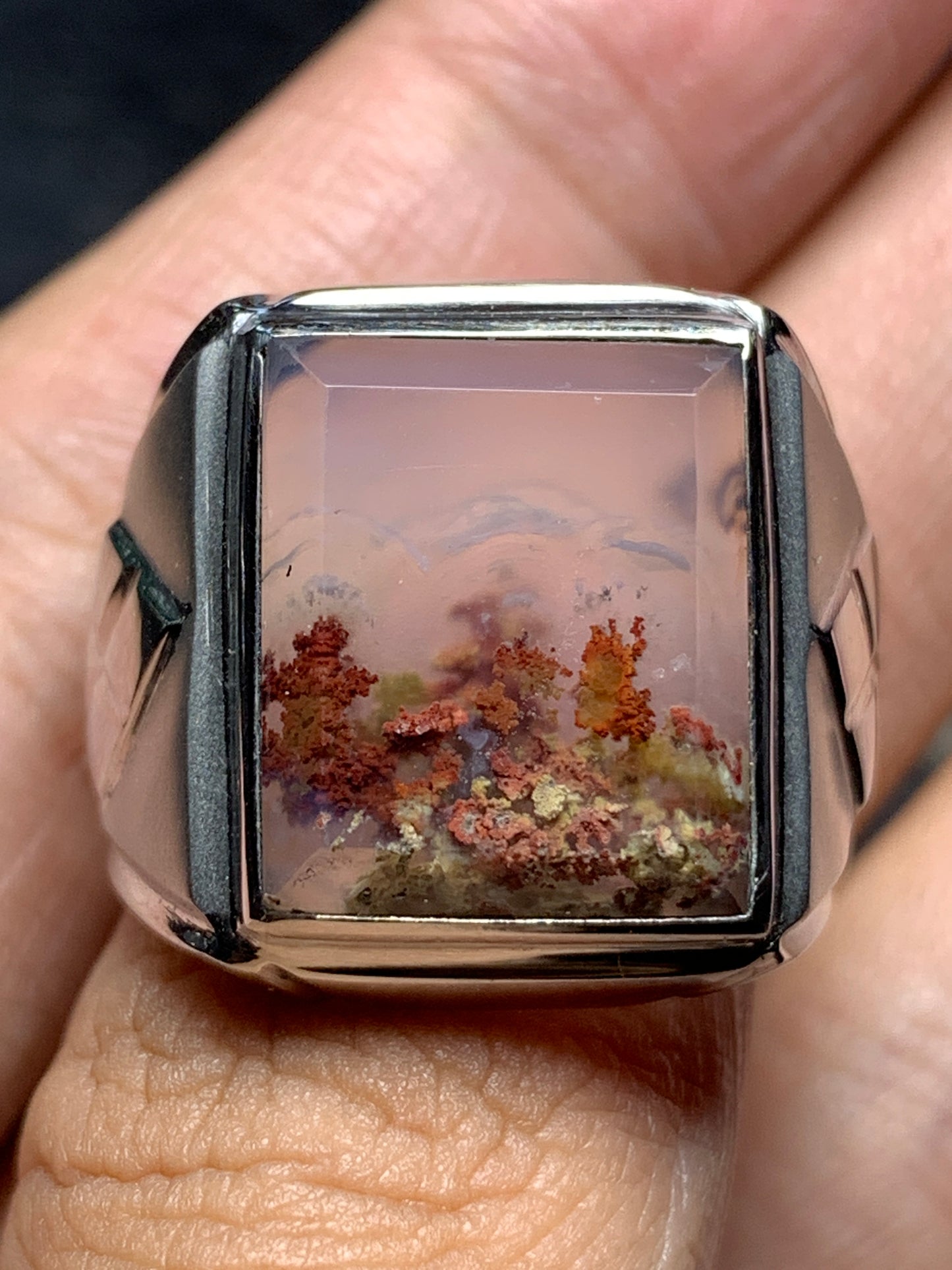 Scenic Moss Agate Ring 17x14x7mm 8.75 USA/Canada 74 ct