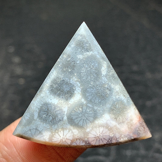 Scenic moss agate, moss agate, plume agate, gift for her, gift for him, gift for birth, gift for , birthday gift, jewelry, cabochon, coral fossil cabochon, marcasite agate