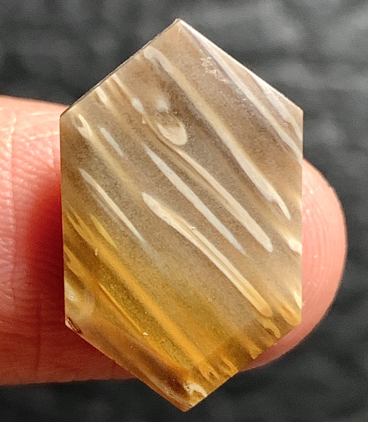 Tiny Petrified Palm Wood Cabochon 18.5x11.5x3.5mm