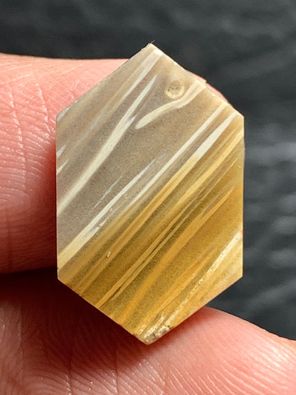 Tiny Petrified Palm Wood Cabochon 18.5x11.5x3.5mm