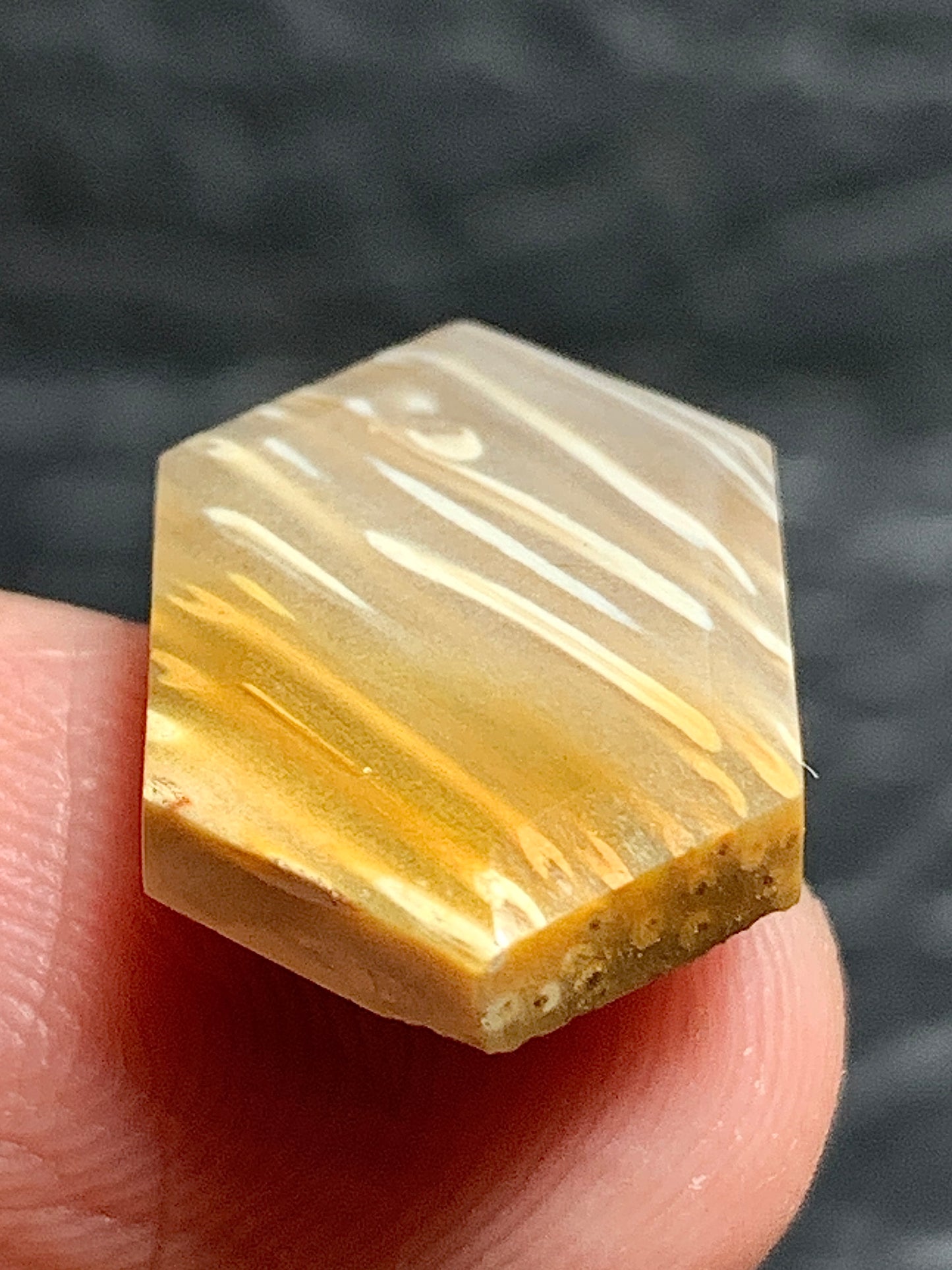 Tiny Petrified Palm Wood Cabochon 18.5x11.5x3.5mm