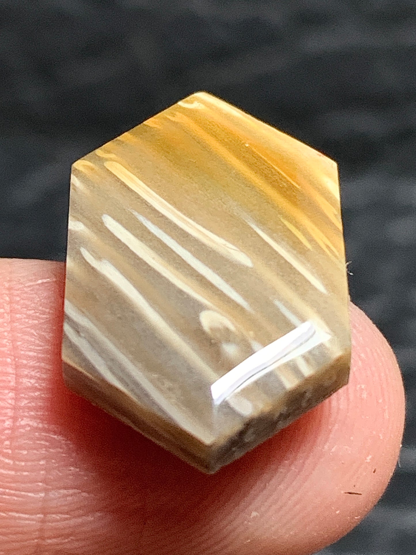 Tiny Petrified Palm Wood Cabochon 18.5x11.5x3.5mm