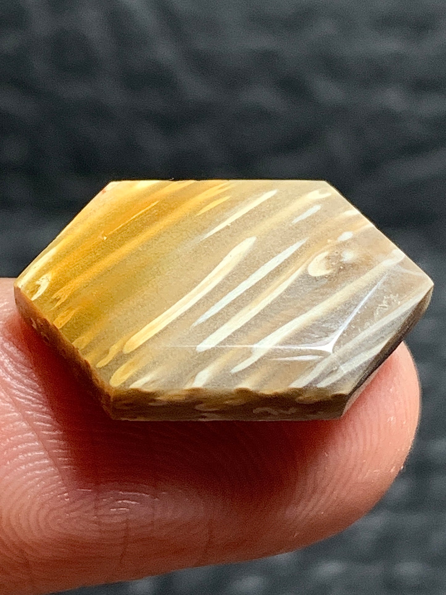 Tiny Petrified Palm Wood Cabochon 18.5x11.5x3.5mm