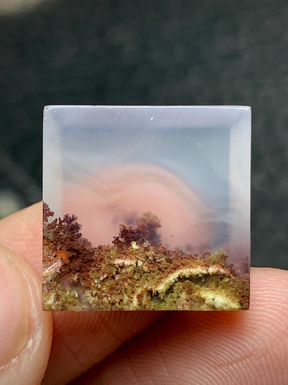 Tiny Scenic Moss Agate Cabochon 16x16x5mm