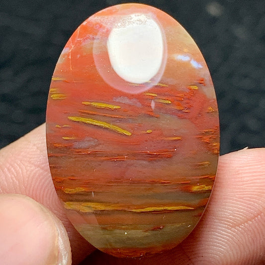 Petrified Palm Wood Cabochon 28x18.3x6mm