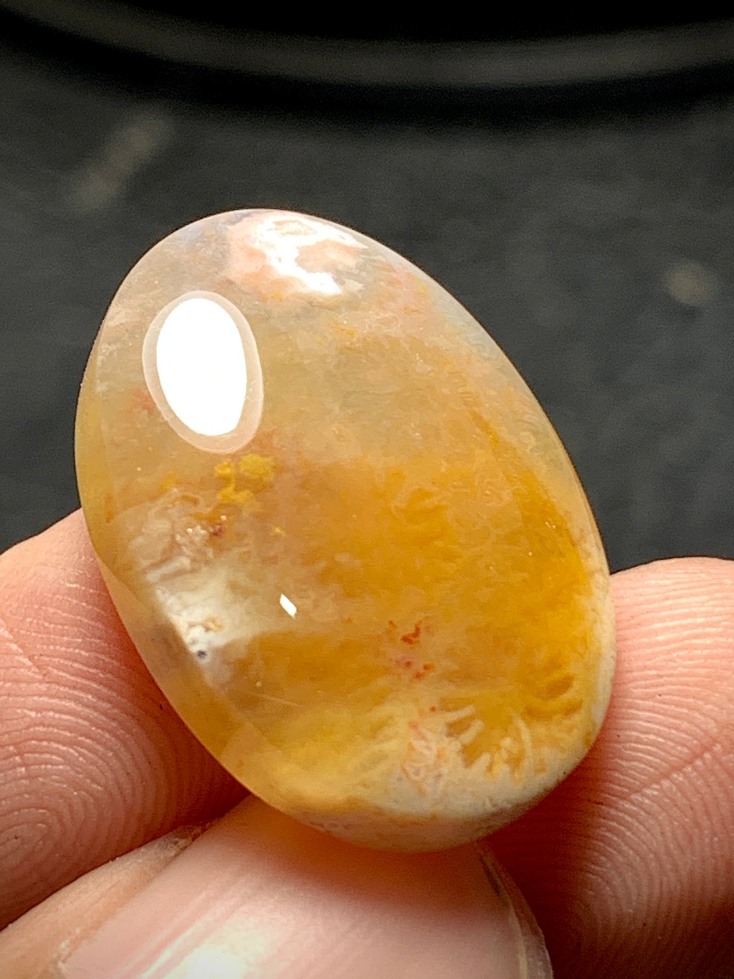 Agatized Coral Fossil Cabochon 22.4x16x5.5mm