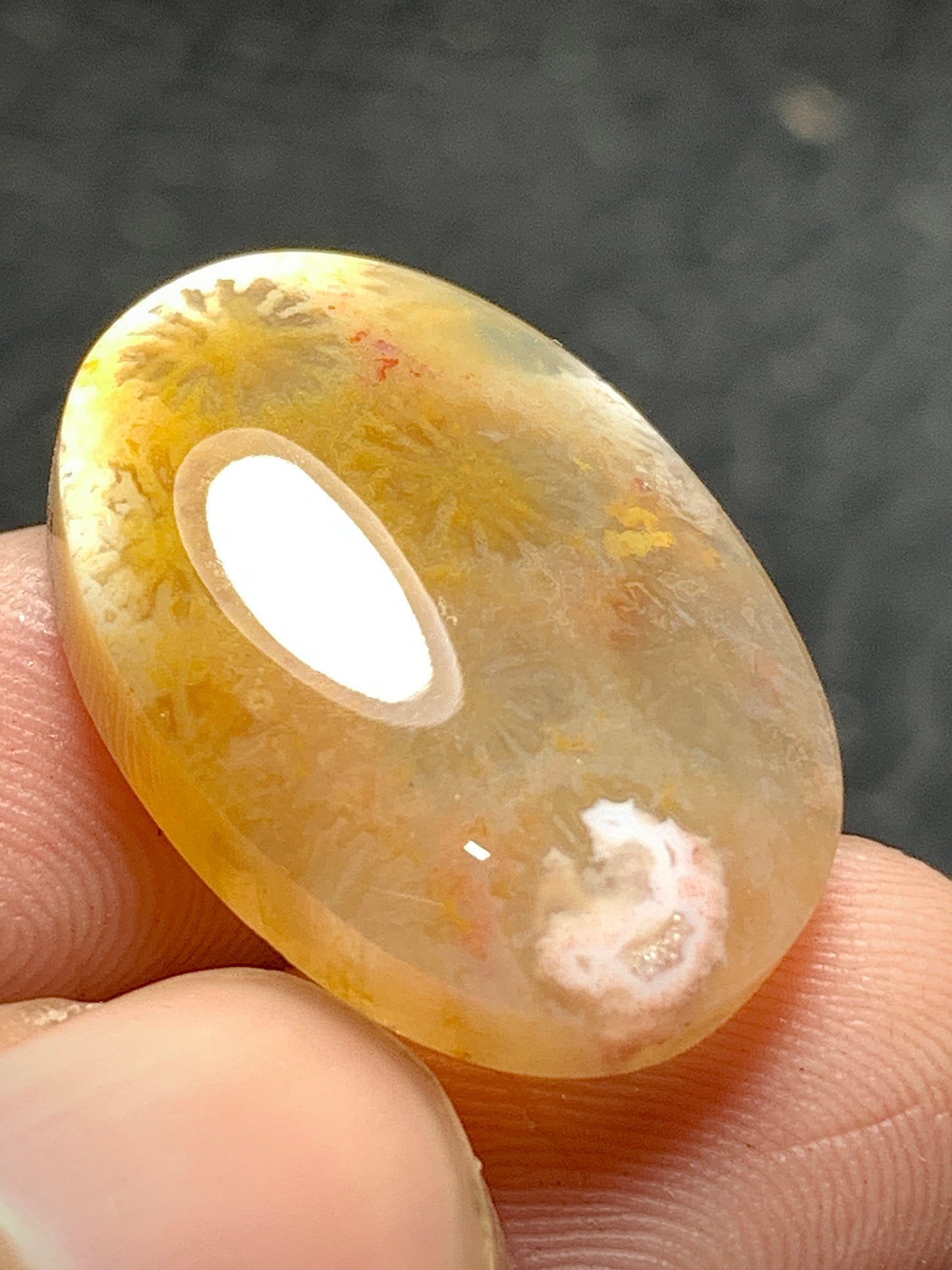 Agatized Coral Fossil Cabochon 22.4x16x5.5mm