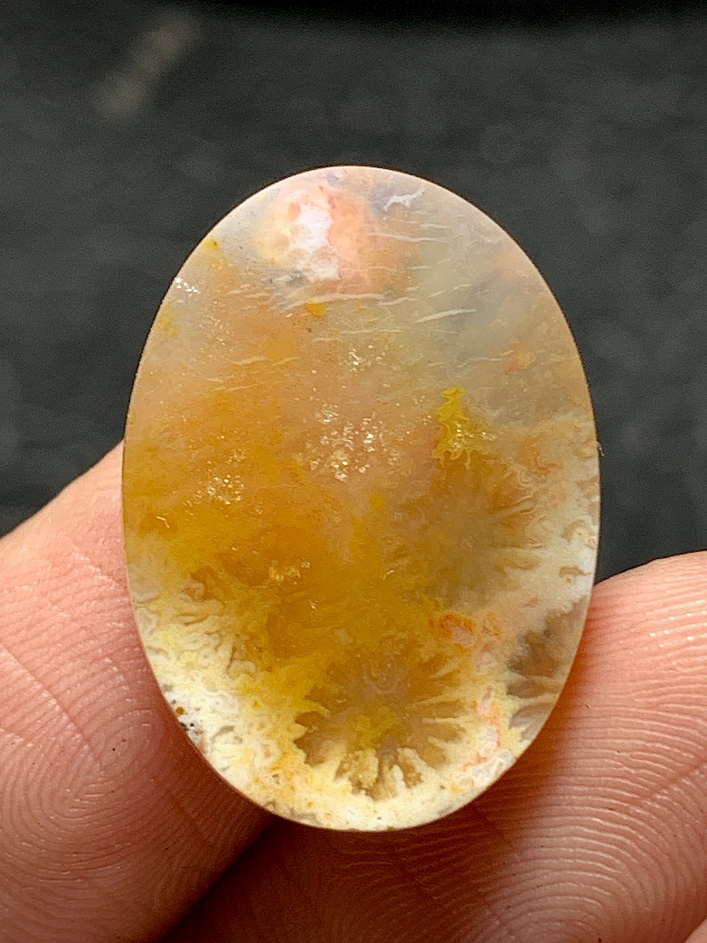 Agatized Coral Fossil Cabochon 22.4x16x5.5mm