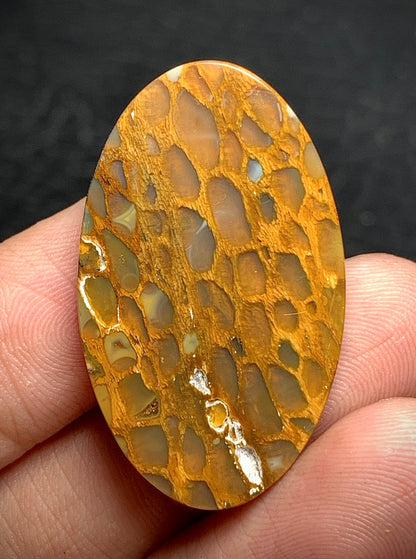 Petrified Wood Cabochon 38.8x20.5x6.2mm
