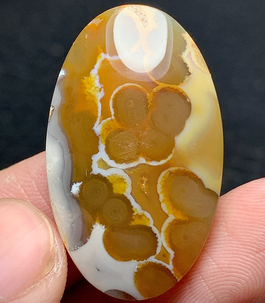 Orbicular Agate Cabochon 31x18.8x6mm