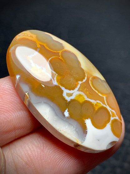 Orbicular Agate Cabochon 31x18.8x6mm
