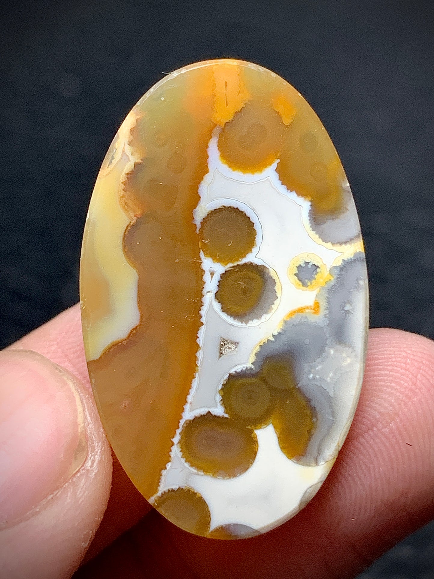 Orbicular Agate Cabochon 31x18.8x6mm