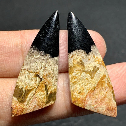 Pair of Petrified Wood Cabochons 35x13.5x4.5mm (each)