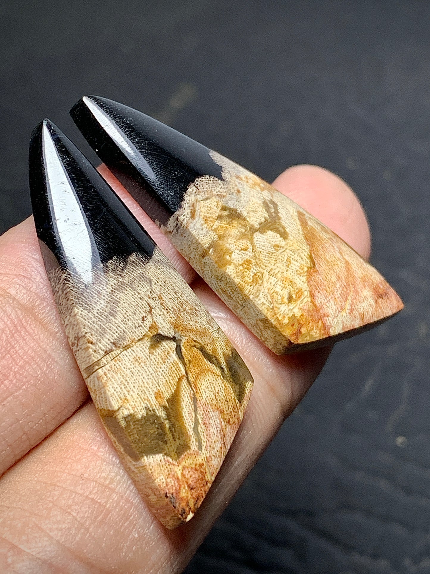 Pair of Petrified Wood Cabochons 35x13.5x4.5mm (each)