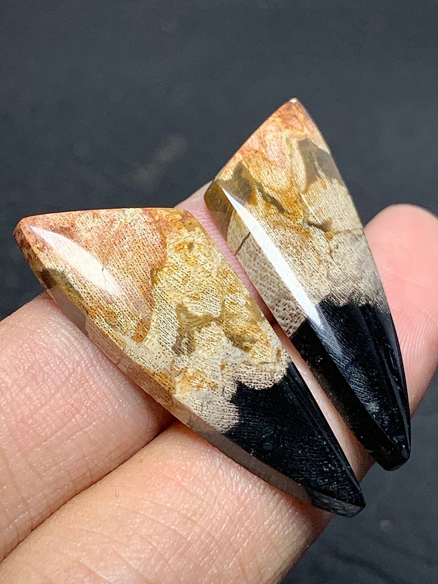 Pair of Petrified Wood Cabochons 35x13.5x4.5mm (each)