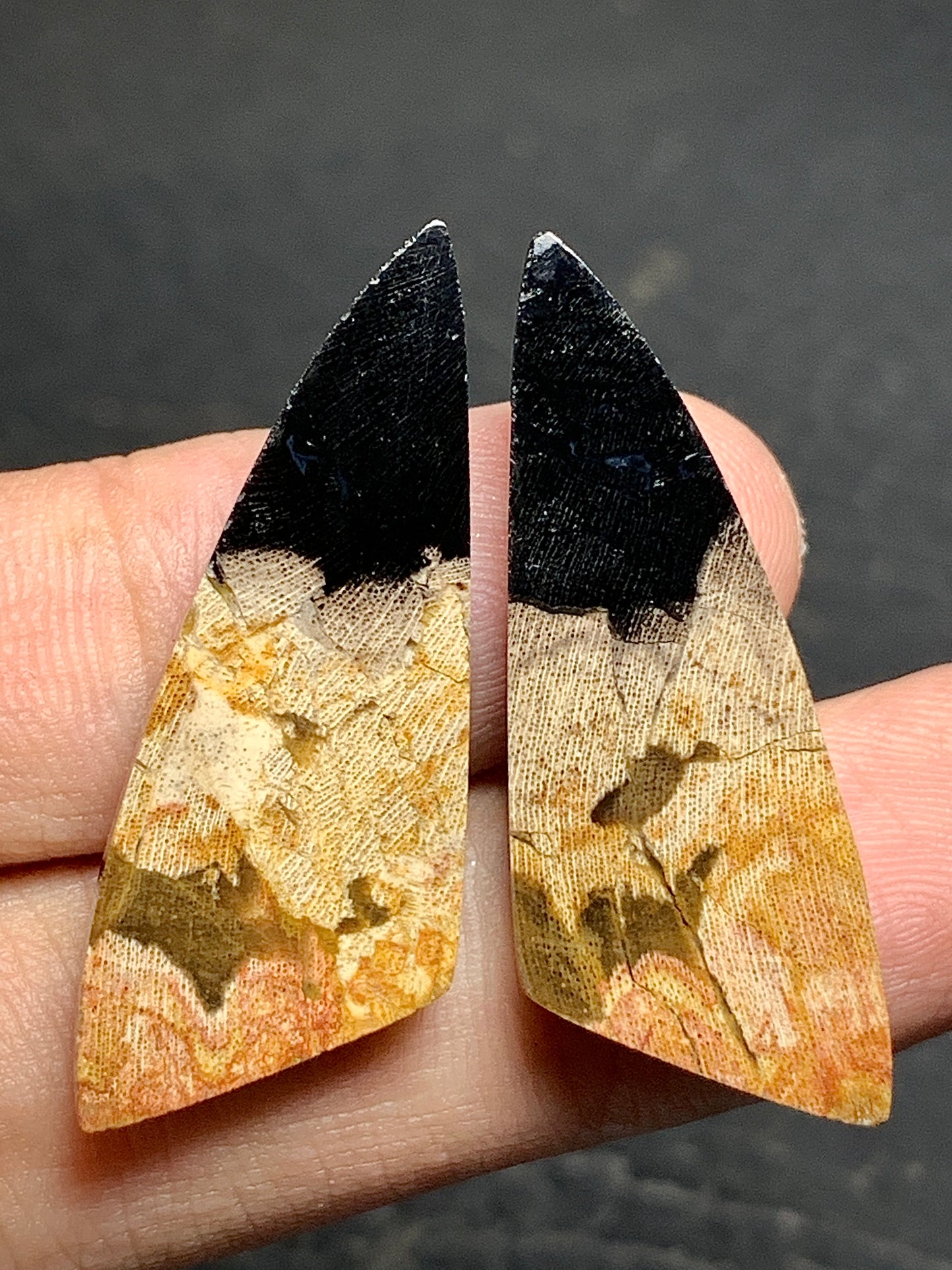 Pair of Petrified Wood Cabochons 35x13.5x4.5mm (each)