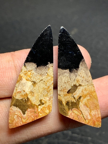 Pair of Petrified Wood Cabochons 35x13.5x4.5mm (each)