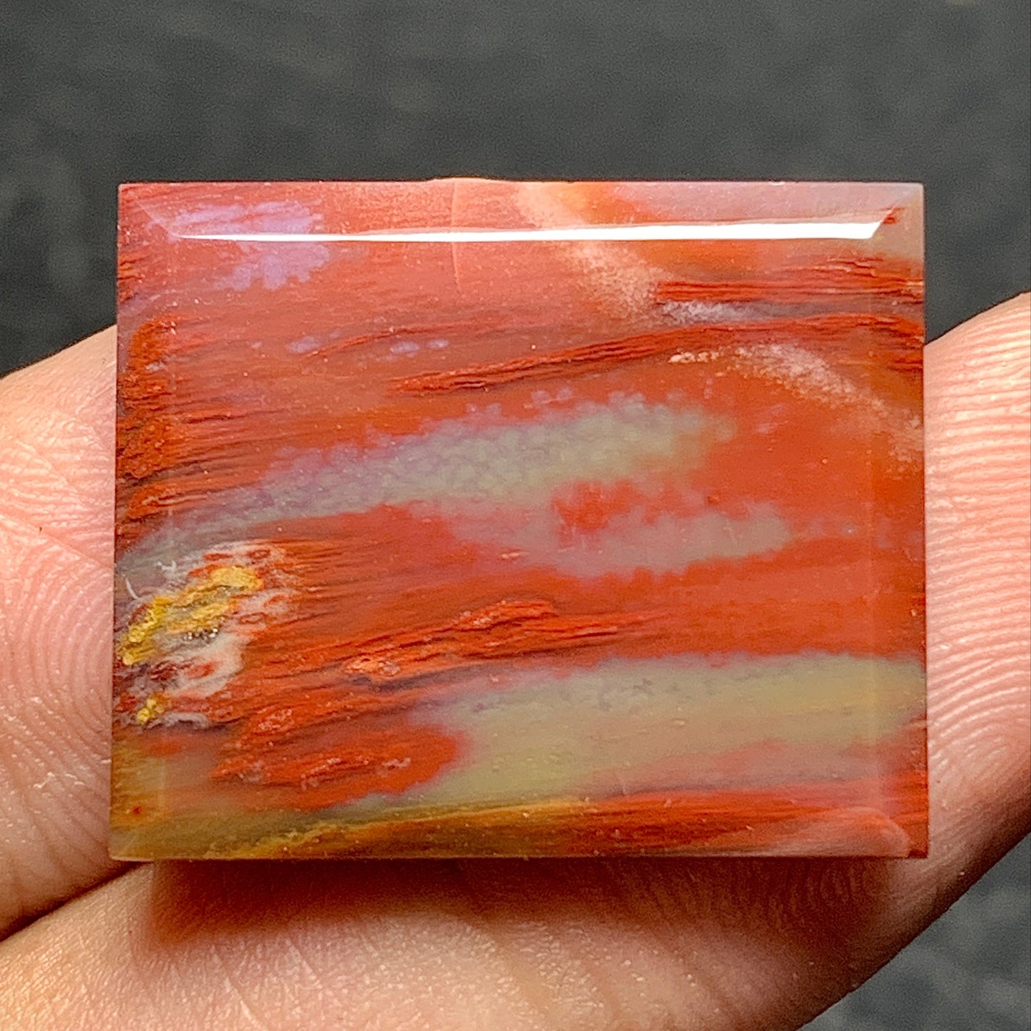 Petrified Palm Wood Cabochon 23x19x4mm