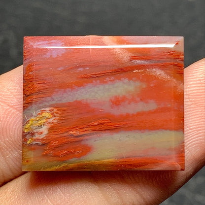 Petrified Palm Wood Cabochon 23x19x4mm
