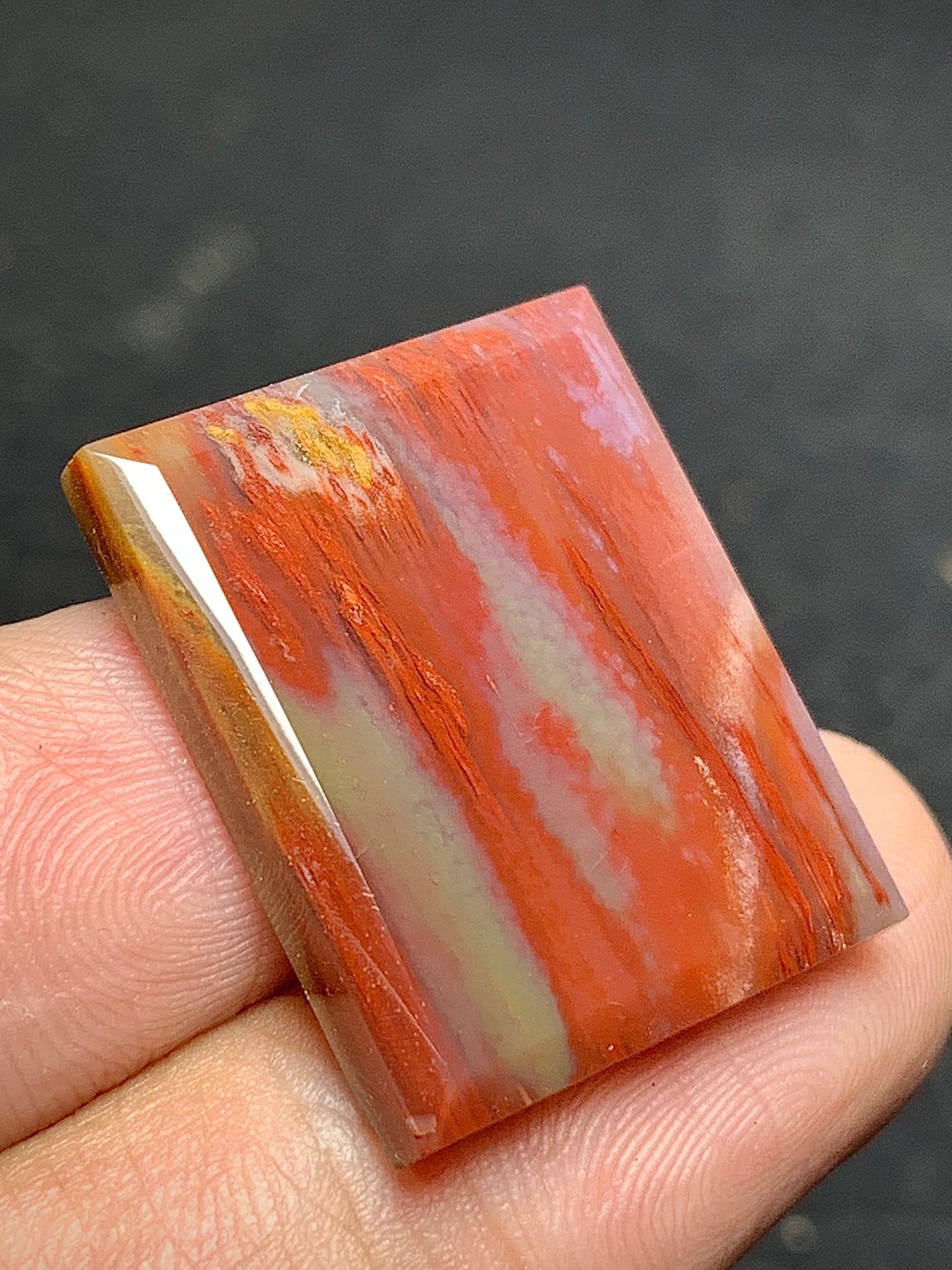 Petrified Palm Wood Cabochon 23x19x4mm