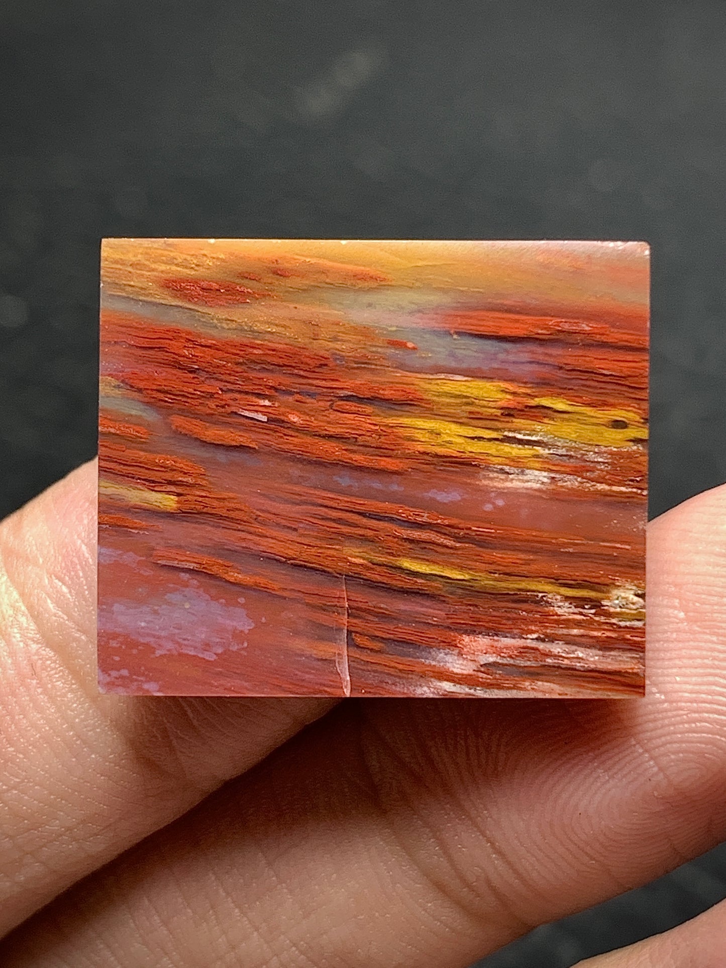 Petrified Palm Wood Cabochon 23x19x4mm