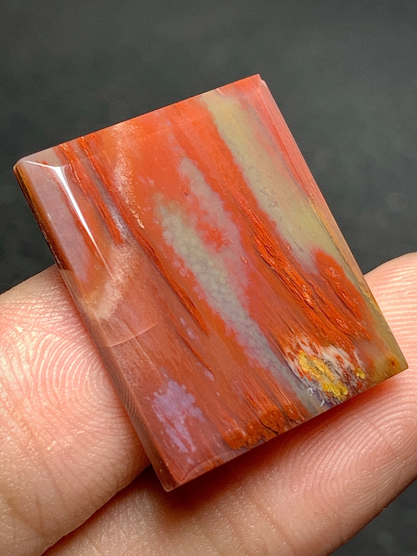 Petrified Palm Wood Cabochon 23x19x4mm