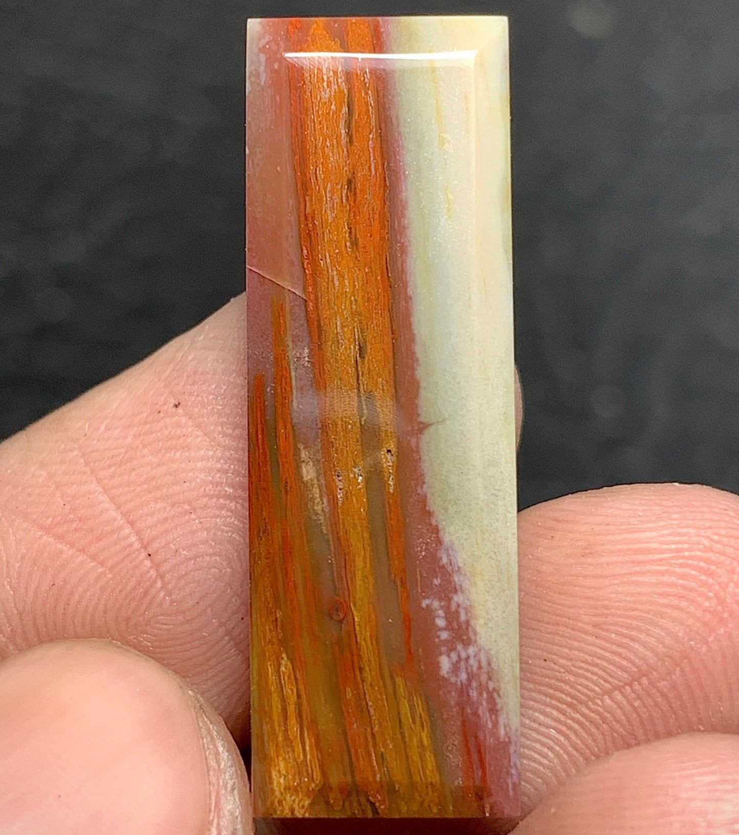 Petrified Palm Wood Cabochon 29.4x10x3.8mm