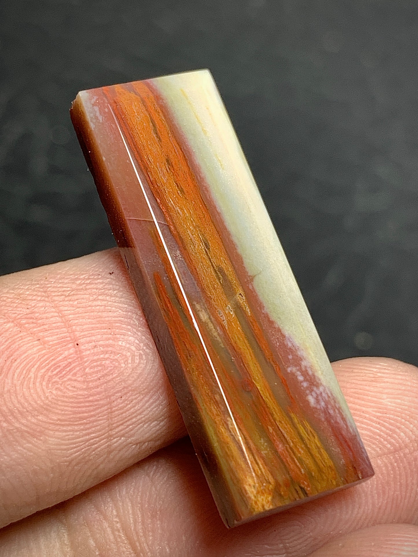 Petrified Palm Wood Cabochon 29.4x10x3.8mm