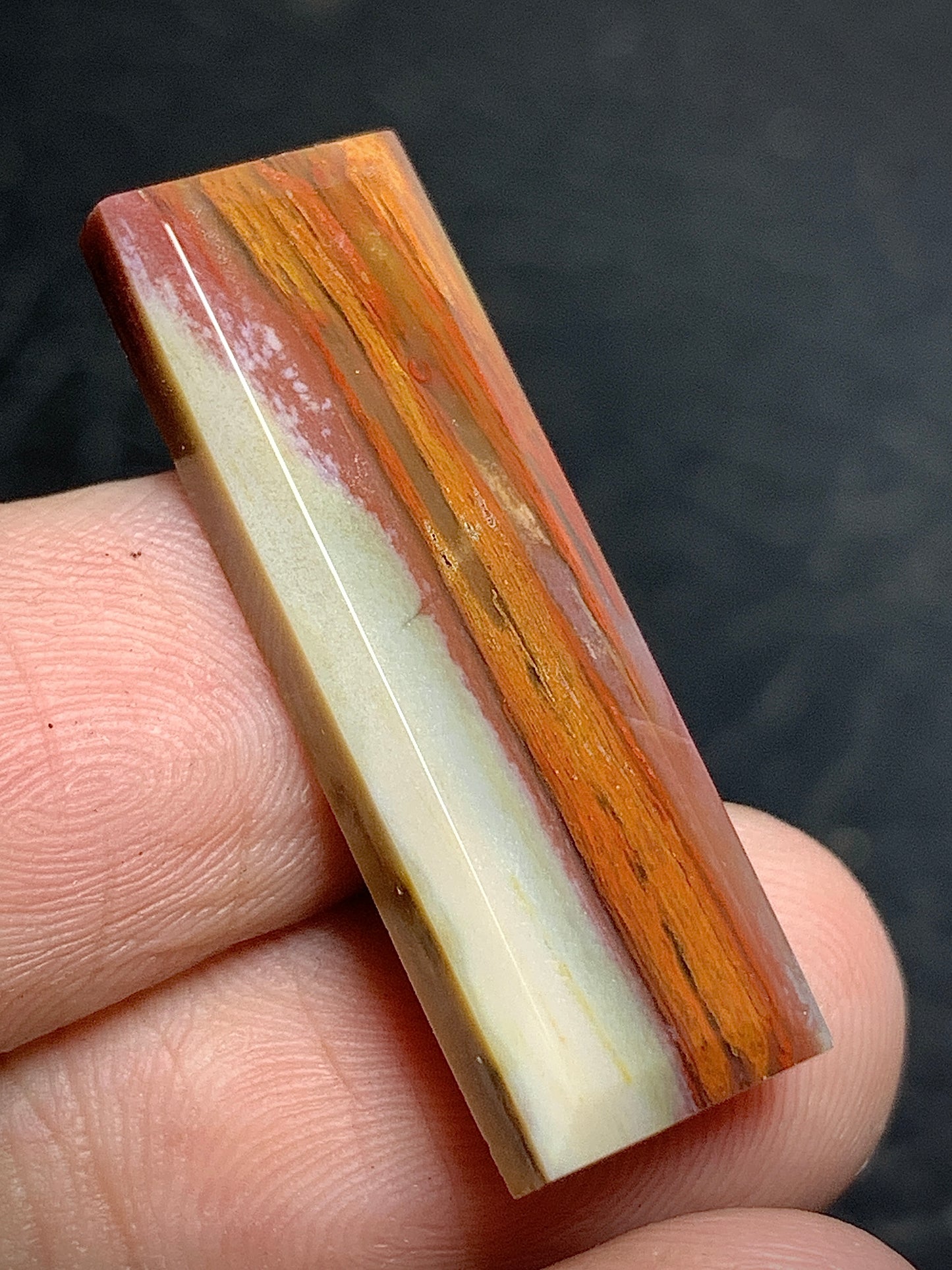 Petrified Palm Wood Cabochon 29.4x10x3.8mm
