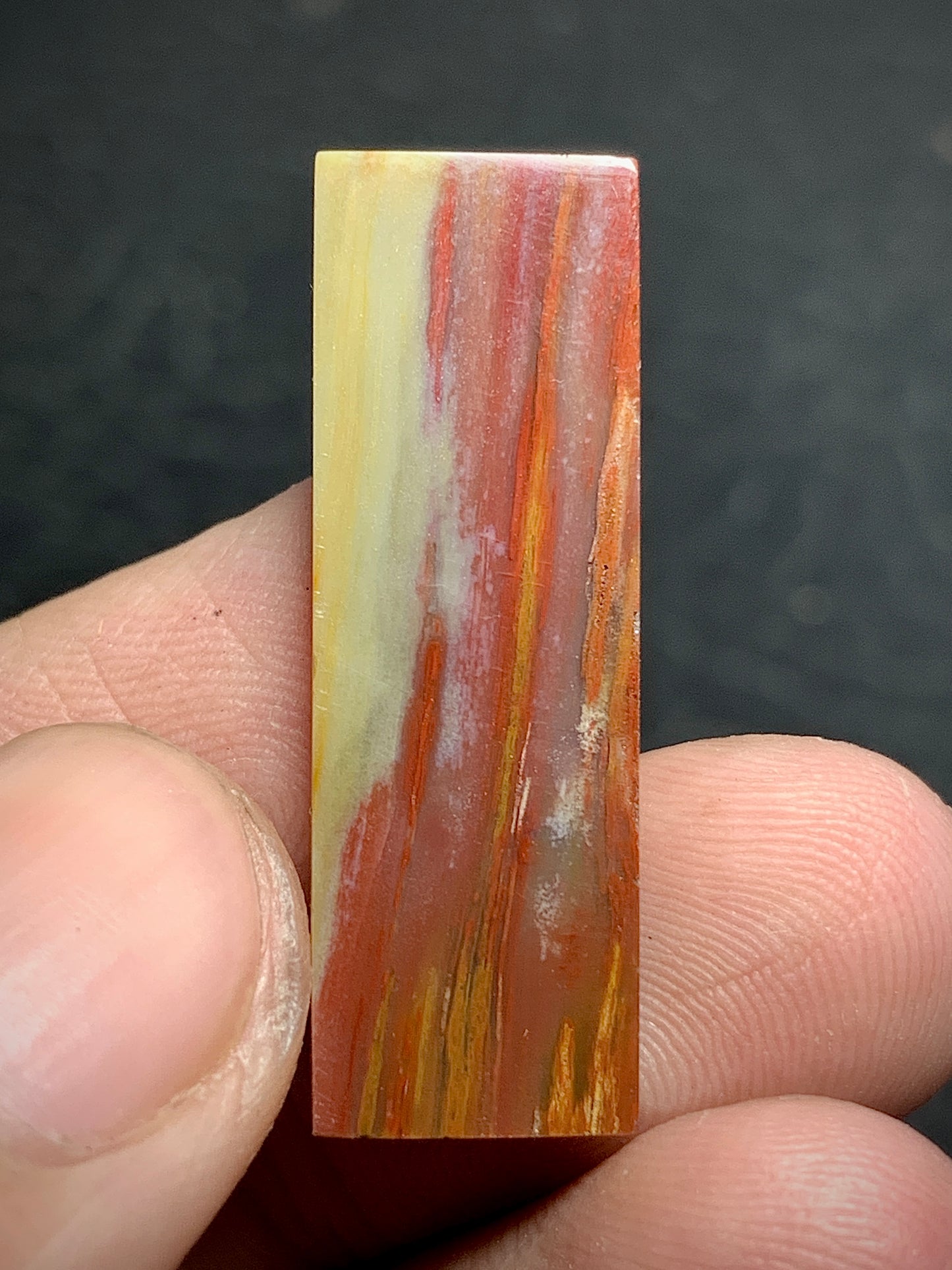 Petrified Palm Wood Cabochon 29.4x10x3.8mm