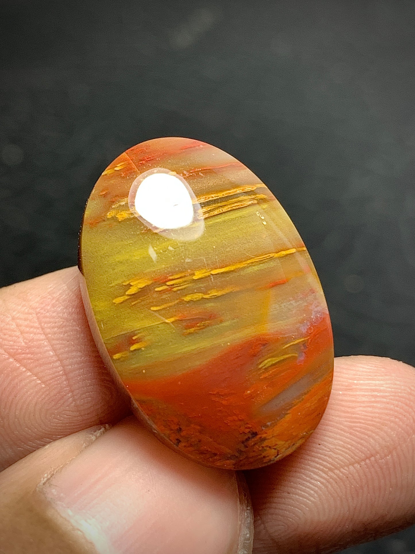 Petrified Palm Wood Cabochon 24x16x6mm