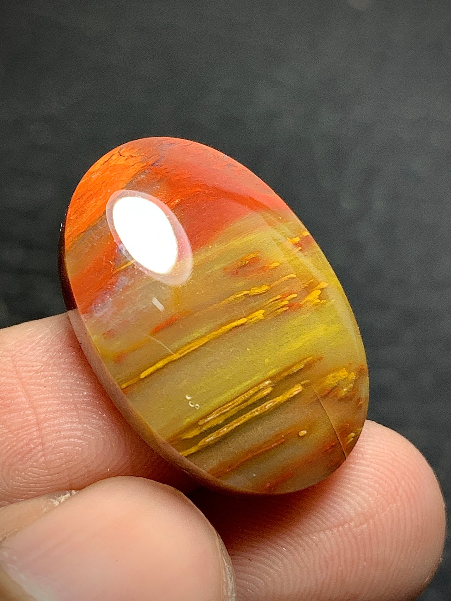Petrified Palm Wood Cabochon 24x16x6mm