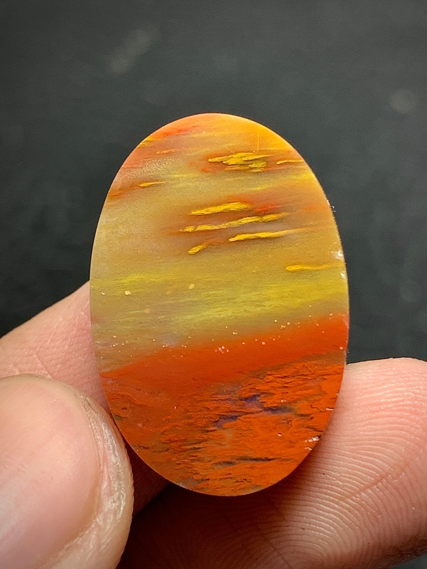 Petrified Palm Wood Cabochon 24x16x6mm