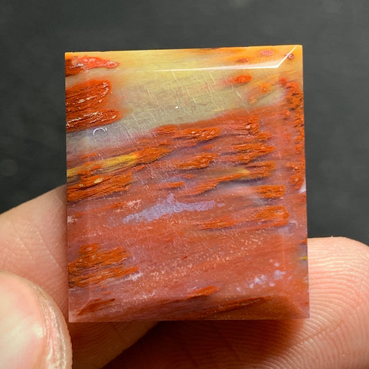 Petrified Palm Wood Cabochon 21x18.7x4.5mm