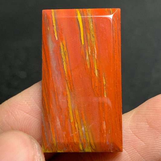 Petrified Palm Wood Cabochon 28x16x4mm