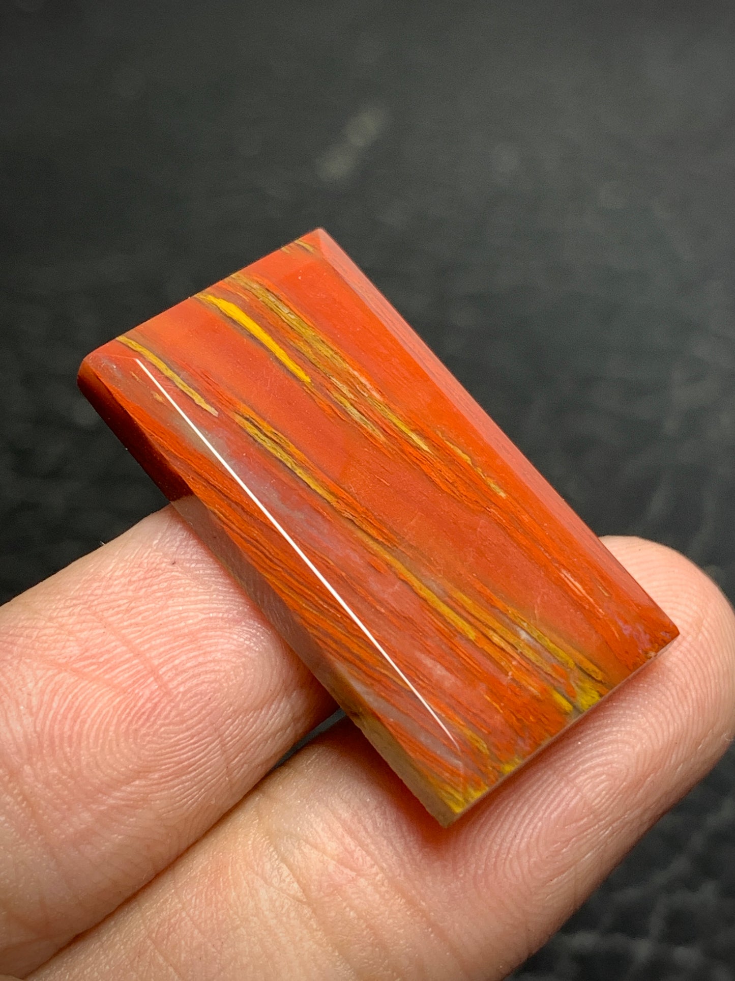 Petrified Palm Wood Cabochon 28x16x4mm