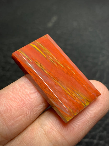 Petrified Palm Wood Cabochon 28x16x4mm