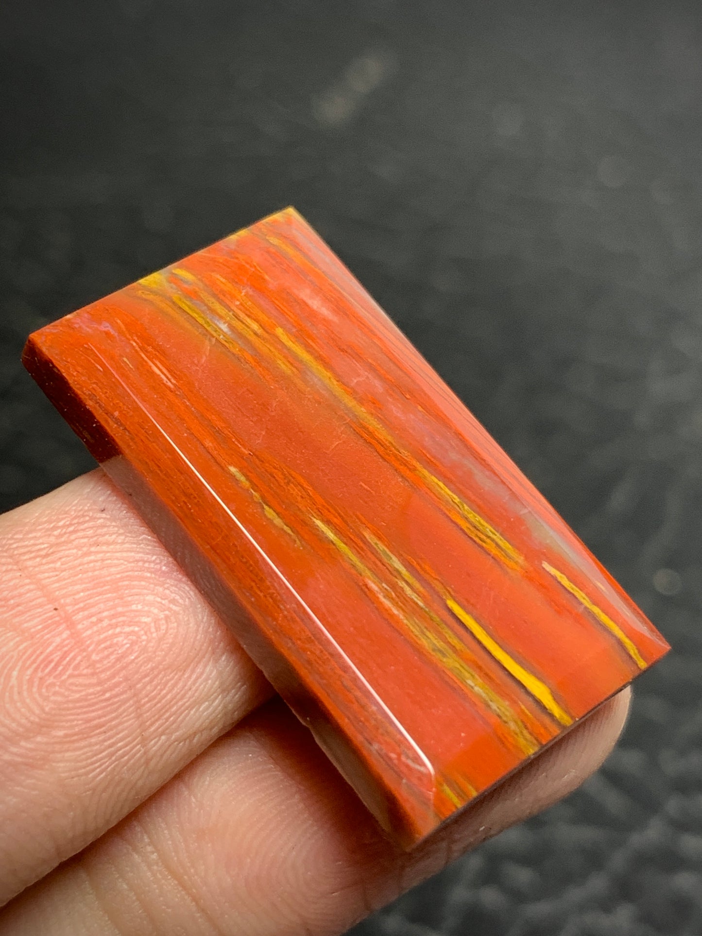 Petrified Palm Wood Cabochon 28x16x4mm